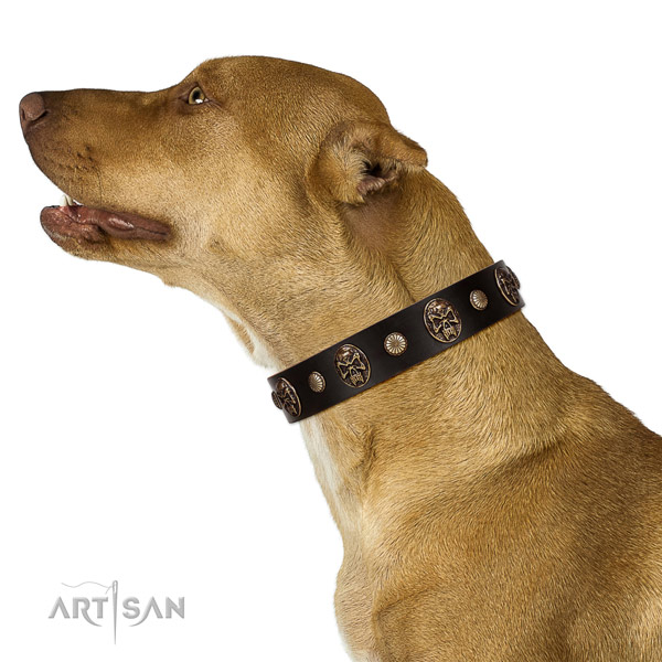 Perfect fit genuine leather collar for your handsome doggie