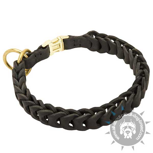 Braided Leather Pitbull Choke Collar Secured near Buckle with Stitching