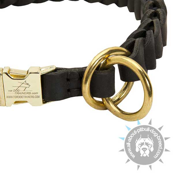 Braided Leather Pitbull Choke Collar with 2 Massive Brass Rings