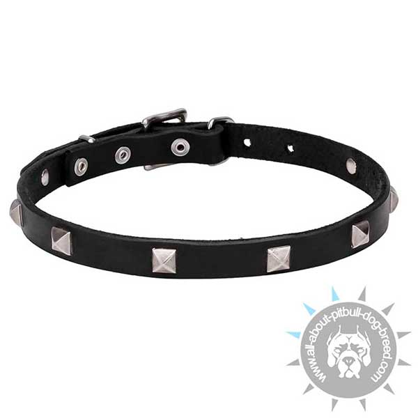 Leather Dog Collar with Chrome Plated Studs