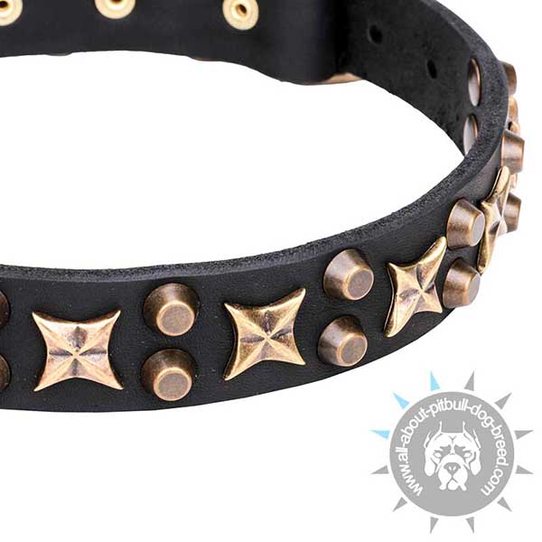Exclusive Dog Collar with Vintage-looking Stars and Cones