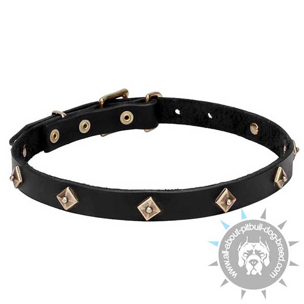 Narrow Leather Dog Collar with Rusted Brass Decorations