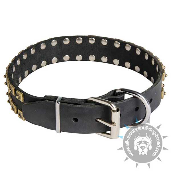 Buckled Leather Pitbull Collar with Riveted in 2 Rows Decorations