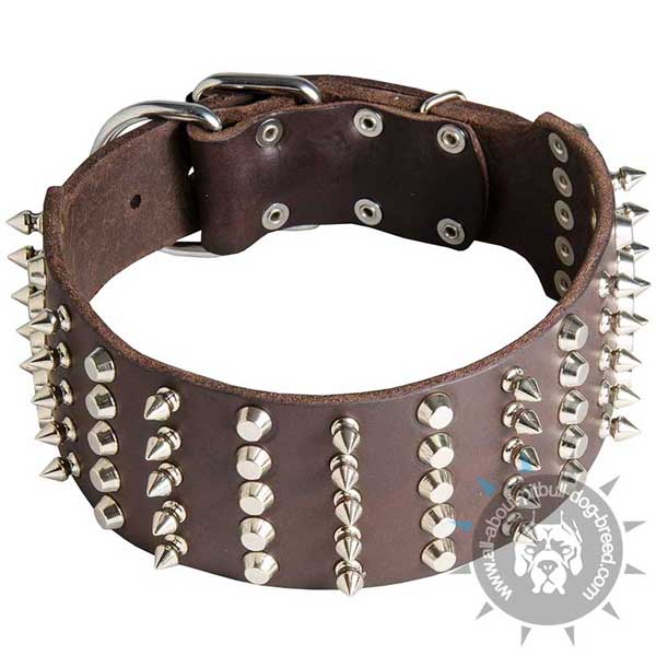 Leather Pitbull Collar Extra Wide and Decorated