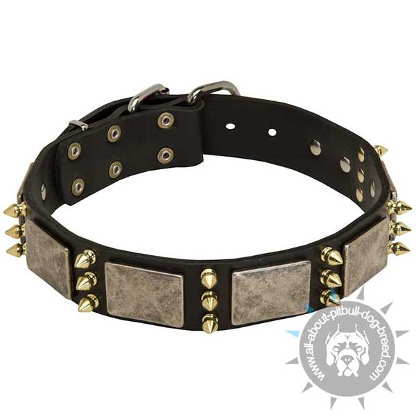 Handmade Leather Pitbull Collar