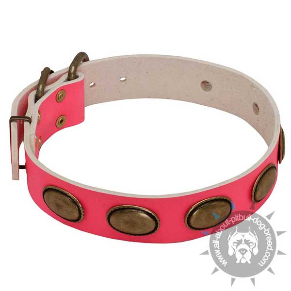 Decorated Pink Leather Pitbull Collar with Oval Brass Plates