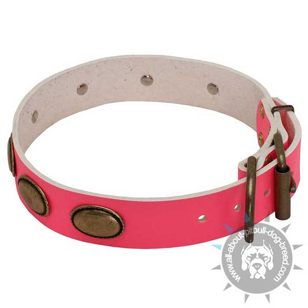 Pink Leather Pitbull Collar with Riveted Brass Hardware and Plates