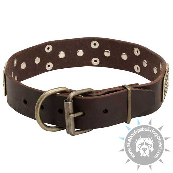 Great Design Leather Pitbull Collar with Standard Buckle