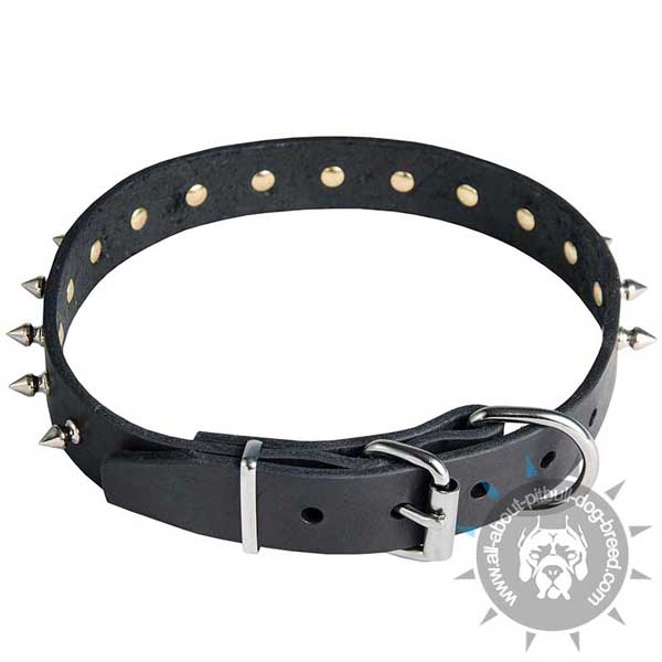 Adjustable Buckled Leather Pitbull Collar Spiked