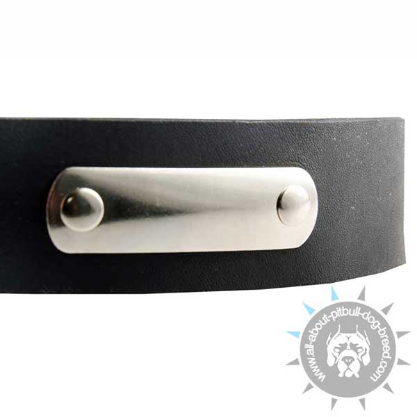 Leather Pitbull Collar with Riveted Metal Tag