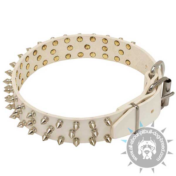 Spiked White Leather Pitbull Collar with Strong Buckle
