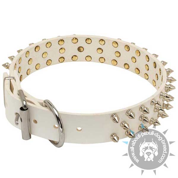 Spiked White Leather Pitbull Collar D-Ring for Leash Attachment