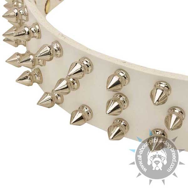 White Leather Pitbull Collar Strap Decorated with 3 Rows Nickel Plated Spikes