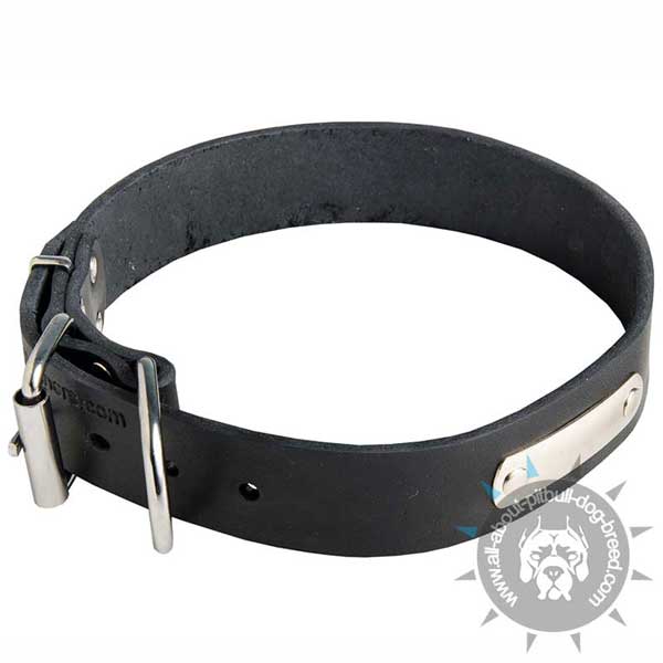 Leather Dog Collar for Pitbull Identification