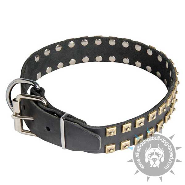 Leather Pitbull Collar Decorated with 2 Rows of Square Brass Studs