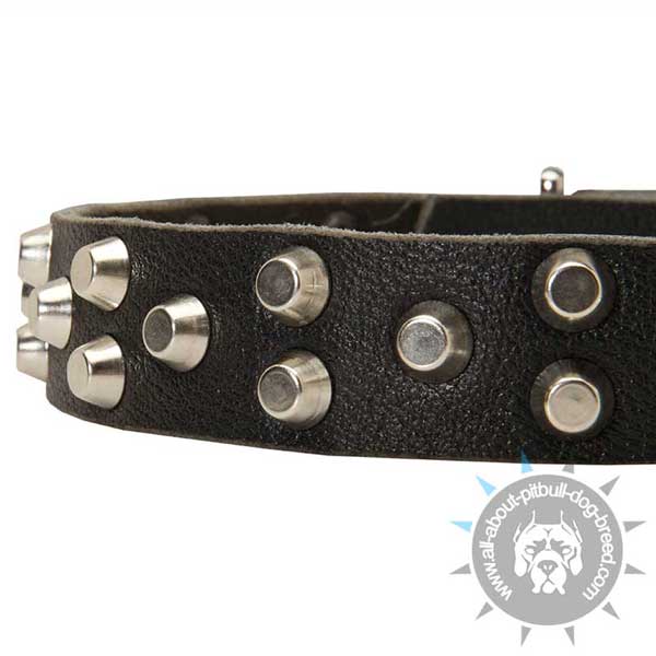 Leather Pitbull Collar with 3 Rows Nickel Pyramids