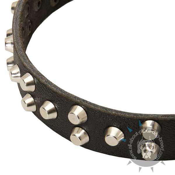 Leather Pitbull Collar Strap with Hand Set Nickel Pyramids