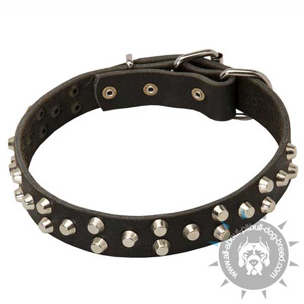Riveted Leather Pitbull Collar Equipped with Nickel Plated Buckle