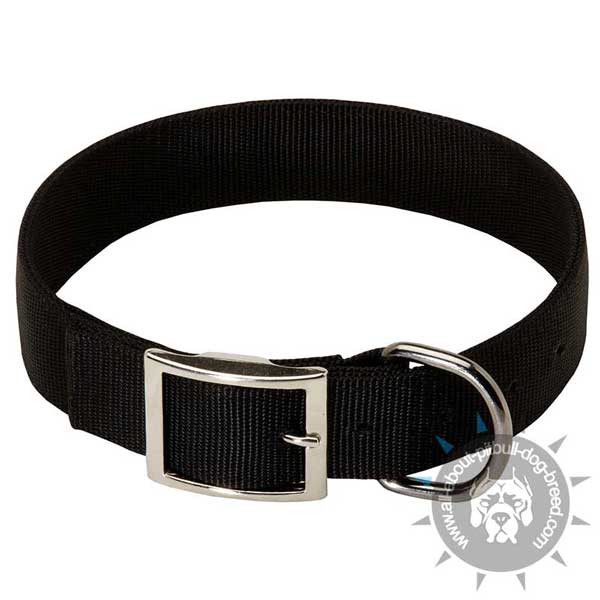 Classic Design Nylon Pitbull Collar Adjustable