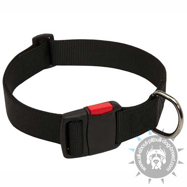Handmade Nylon Pitbull Collar