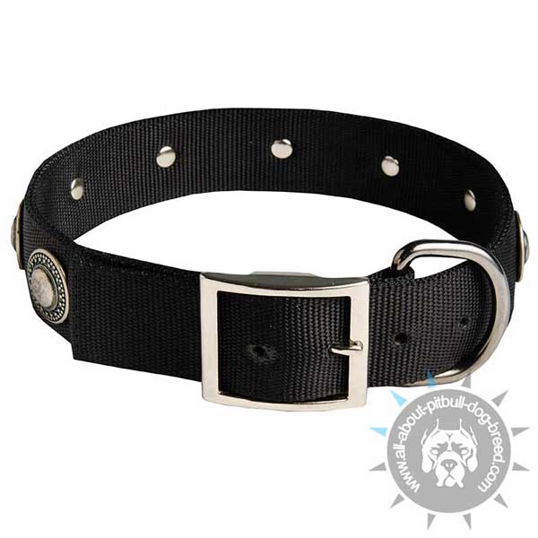 Buckled Nylon Pitbull Collar with Nickel Plated Hardware