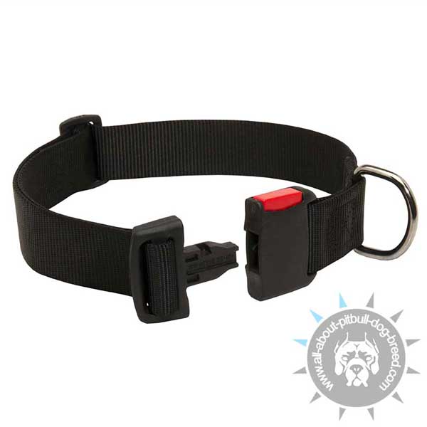 Nylon Pitbull Collar with Comfy Buckle
