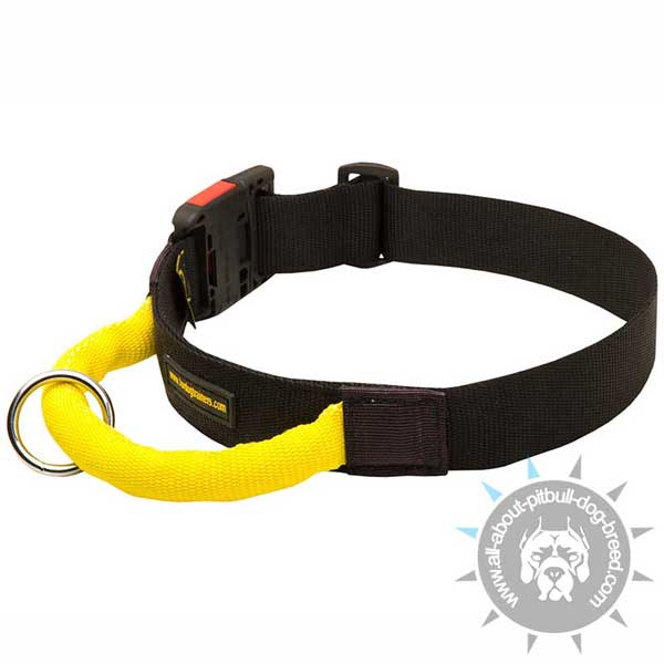 Nylon Pitbull Collar Quick Release with Bright Handle