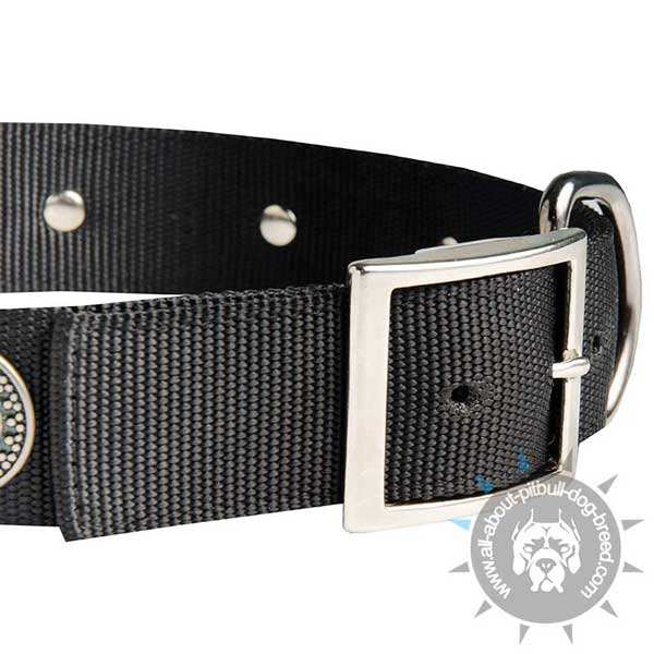 Stitched Nylon Pitbull Collar with Strong Buckle