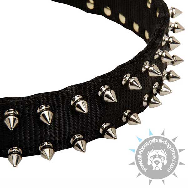 Riveted Nylon Pitbull Collar Strap Decorated with Spikes