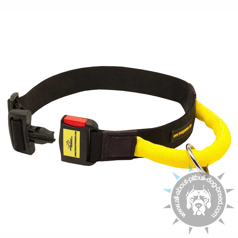 lockable dog collar