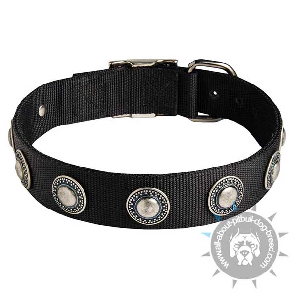 Nylon Pitbull Collar Decorated with Nickel Conchos