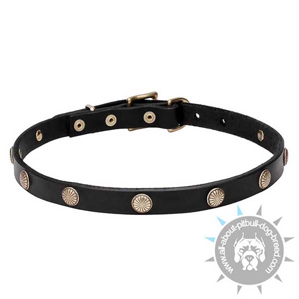 Decorated Leather Dog Collar with Stamped Brass Studs