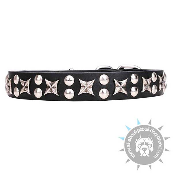 Unique Leather Dog Collar with Bright Decor