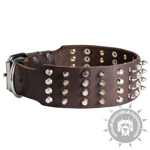 Leather Pitbull Collar Decorated