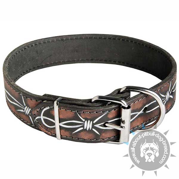Buckled Nylon Pitbull Collar with Nickel Plated Hardware