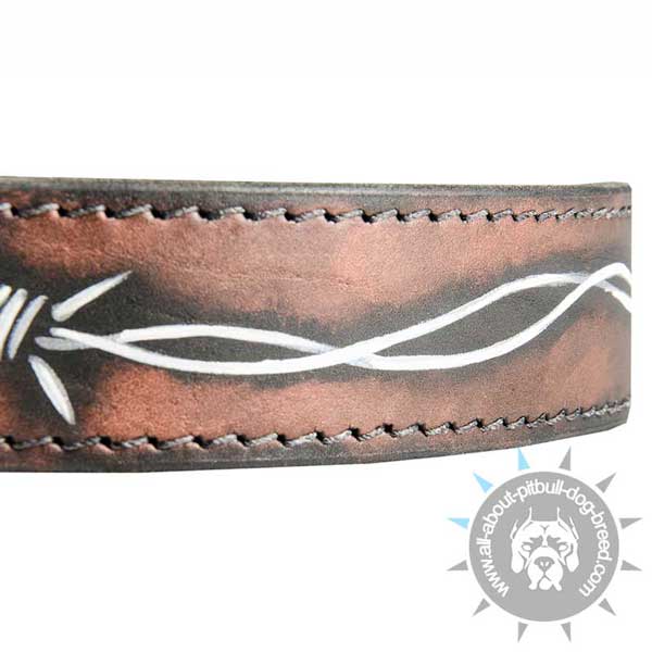 Stitched Leather Pitbull Collar Stitched