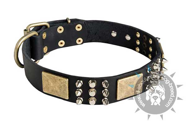 Walking leather dog collar