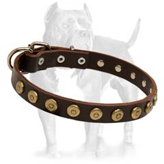 Leather Dog Collar With Dotted Brass Circles