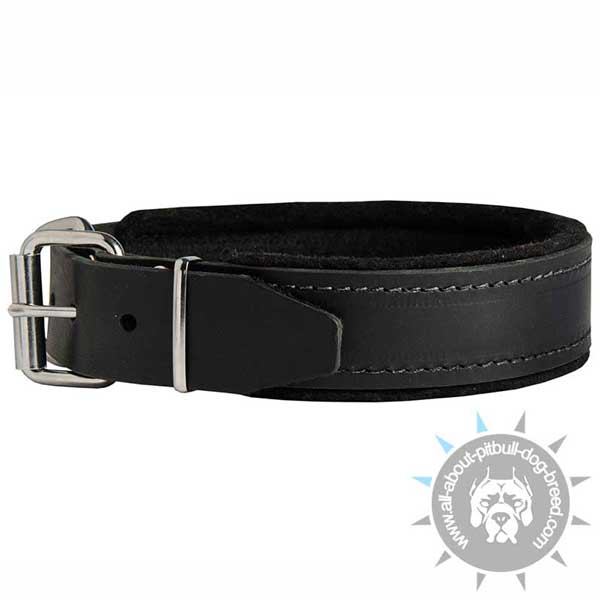 Training Dog Collar Padded Inside