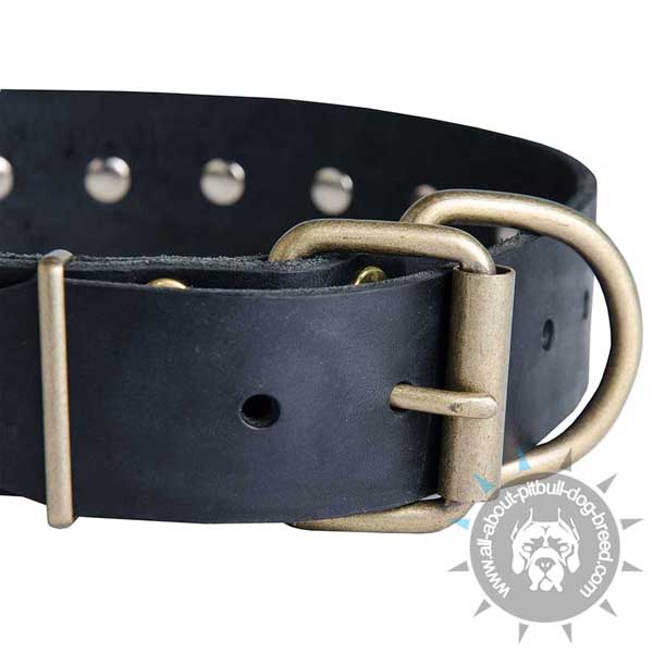 Leather dog collar for Pitbulls