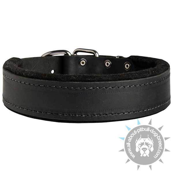 Handmade Leather Collar Felt Padded