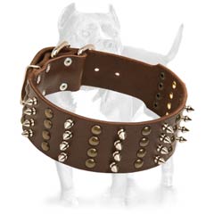 Wide  Studded Leather Collar