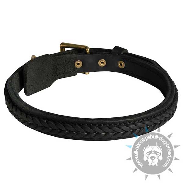 Custom made leather dog collar