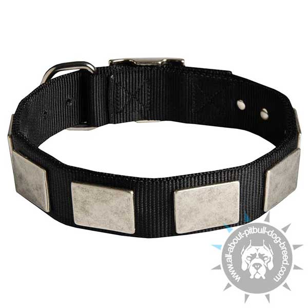 Nylon Dog Collar With Vintage Plates