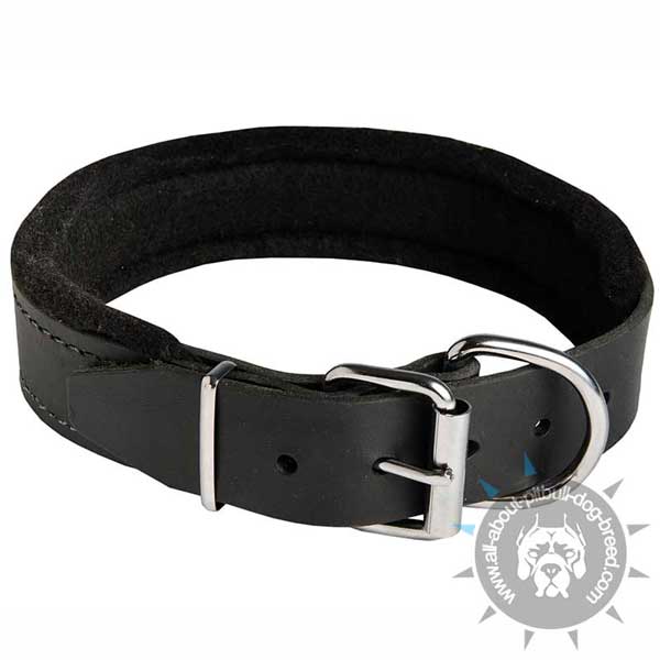 Soft Inside Leather Pitbull Collar