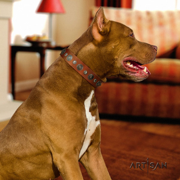 Pitbull convenient genuine leather dog collar with exquisite adornments