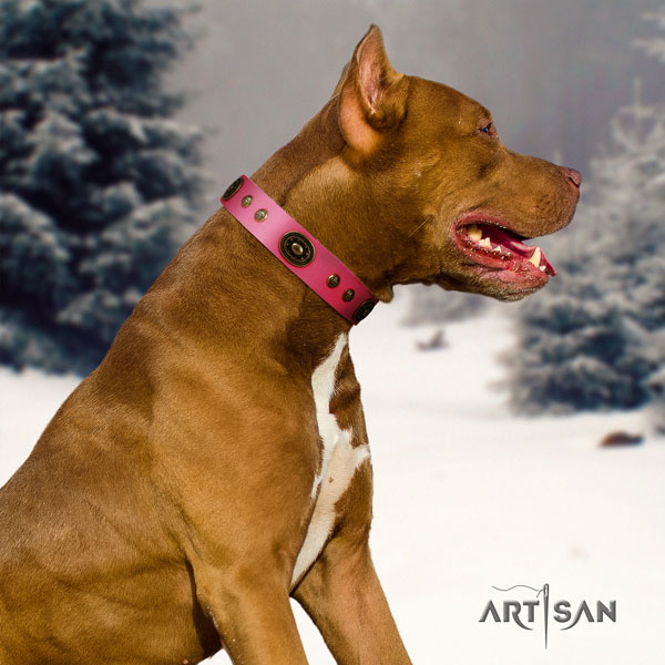 Pitbull comfortable natural genuine leather dog collar with remarkable decorations