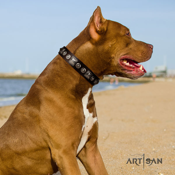 Pitbull comfortable full grain genuine leather dog collar with stylish decorations