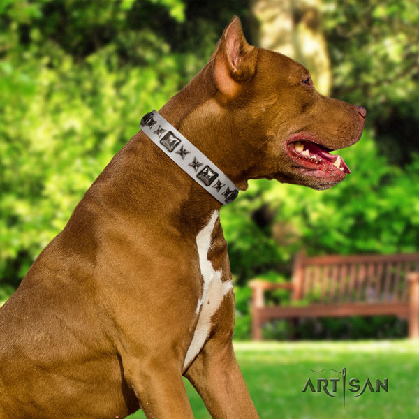 Pitbull best quality genuine leather dog collar with fashionable decorations