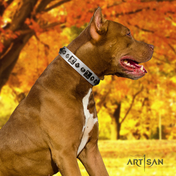 Pitbull best quality leather dog collar with awesome studs